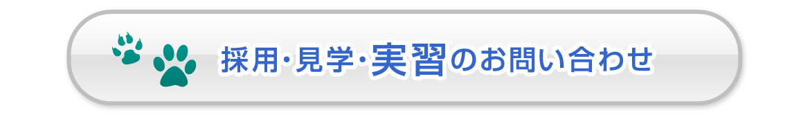 採用・見学・実習のお問い合わせ