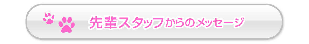 先輩スタッフからのメッセージ